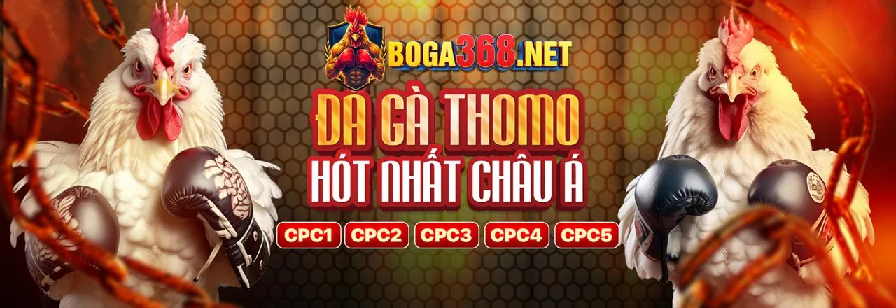 Chiến lược cá cược thể thao nâng cao tại Vbet