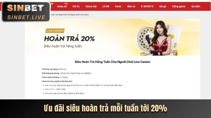 Các Cấp Độ VIP vbet Nhà Cái